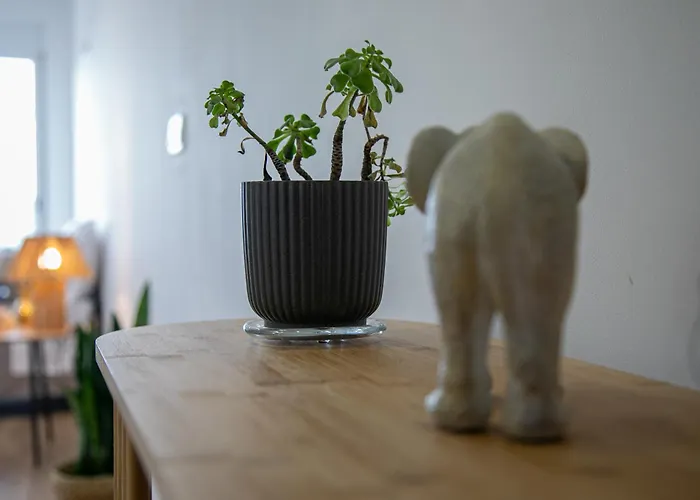 Sunset House Ferienhaus Achadinha